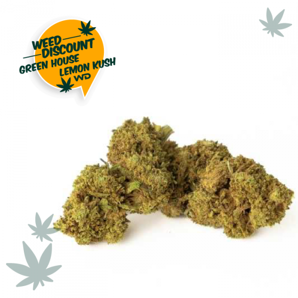 ghlemonkush
